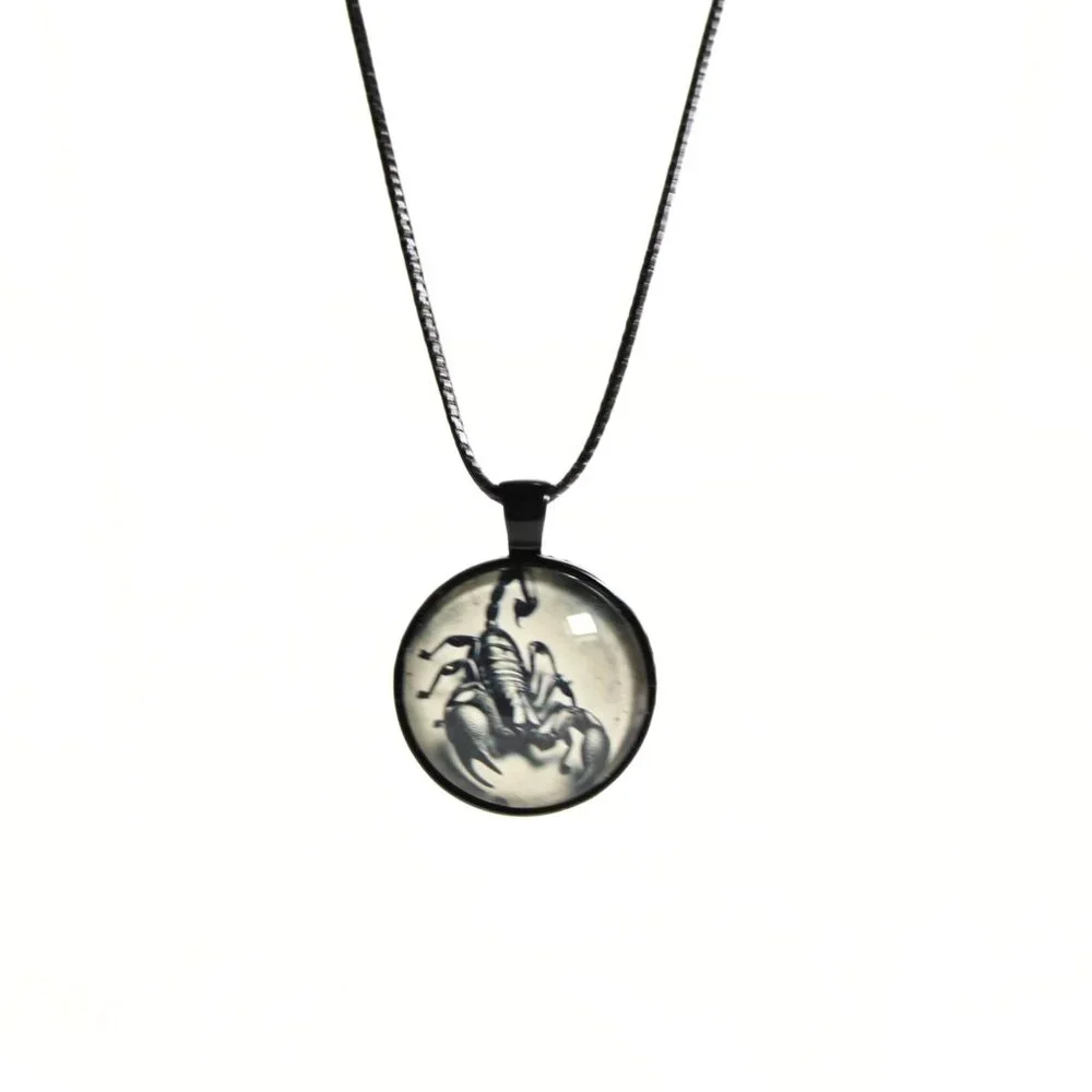 Unisex Gothic “Venom Reliquary” Scorpion Necklace Alternative Fashion Edgy